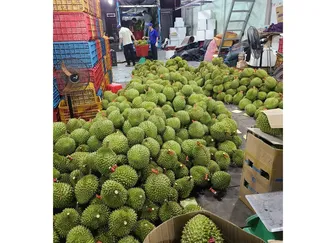“Giấy thông hành” cho nông sản xuất khẩu