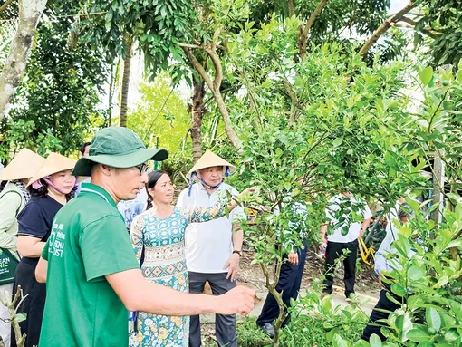 Tiếp sức cho nông nghiệp hữu cơ
