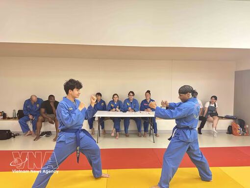 Paris Vovinam club promotes Vietnamese culture in France
