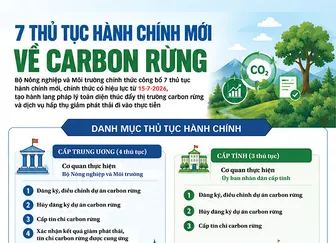 [INFOGRAPHICS] 7 thủ tục hành chính mới về carbon rừng