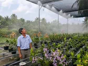 Ứng dụng công nghệ thông minh trong nhân giống và trồng hoa lan
