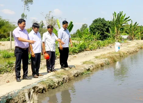 Liên kết để cùng phát triển