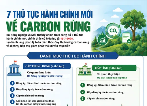 [INFOGRAPHICS] 7 thủ tục hành chính mới về carbon rừng