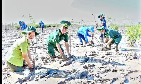 Trồng rừng để bảo tồn đa dạng sinh học, thích ứng biến đổi khí hậu