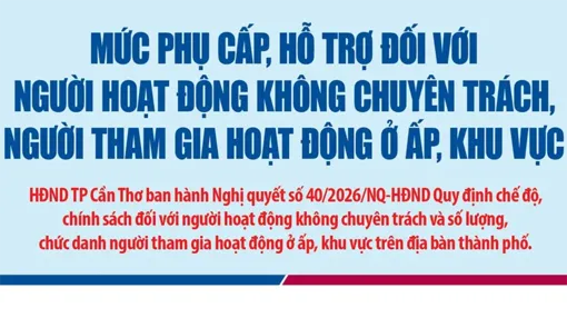 Mức phụ cấp, hỗ trợ đối với người hoạt động không chuyên trách, người tham gia hoạt động ở ấp, khu vực