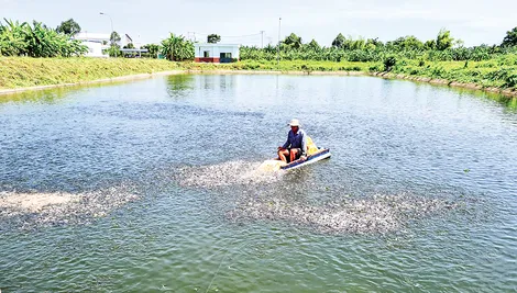 Đảm bảo nguồn giống an toàn, sạch bệnh phục vụ sản xuất nông nghiệp