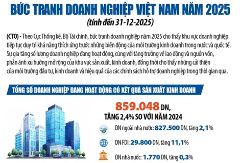 [INFOGRAPHICS] Bức tranh doanh nghiệp Việt Nam năm 2025