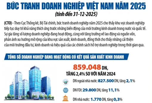 [INFOGRAPHICS] Bức tranh doanh nghiệp Việt Nam năm 2025