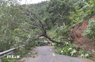 Tổng Bí thư, Chủ tịch nước Tô Lâm: Không để bị động trước mọi kịch bản thiên tai cực đoan