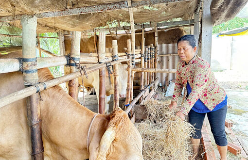 ប្រ​ភព​ទុន​ឥ​ណ​ទាន​គោ​លន​យោ​បាយ​ រួម​ដំ​ណើរ​ជា​មួយ​នឹង​ឆន្ទៈ​ឈាន​ឡើង​