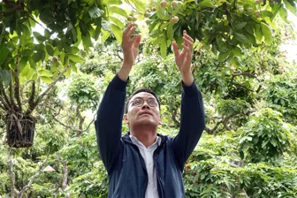 Định vị thương hiệu “Cần Thơ mùa trái ngọt”