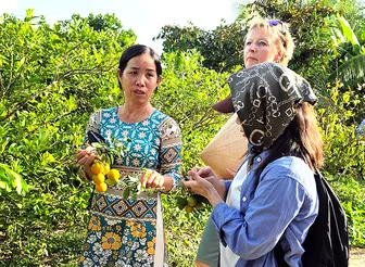 Phát triển sản xuất nông nghiệp gắn với bảo vệ môi trường nông thôn