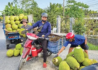 Dạo quanh thị trường ngày 15-7