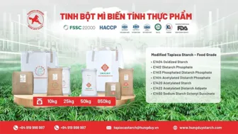 Hùng Duy Starch và hành trình đưa tinh bột mì biến tính Việt Nam vươn ra quốc tế