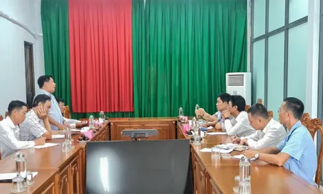 Triển khai kế hoạch trồng 45ha cây ngập mặn, rừng phòng hộ ven biển TP Cần Thơ