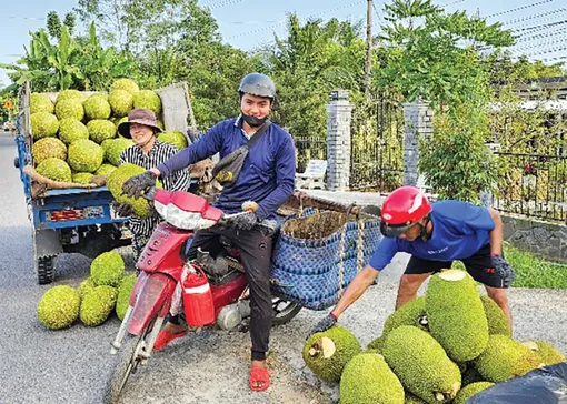 Dạo quanh thị trường ngày 15-7