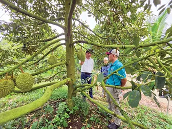 Không thể chậm trễ!