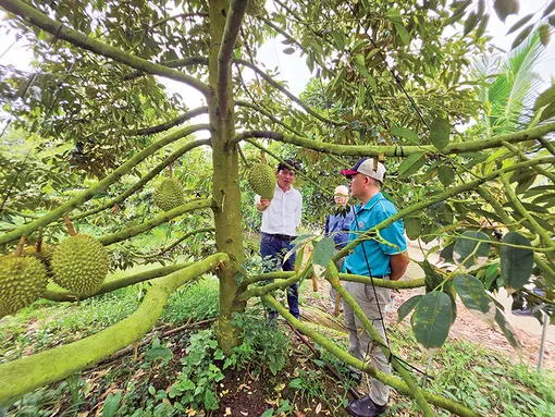 Không thể chậm trễ!