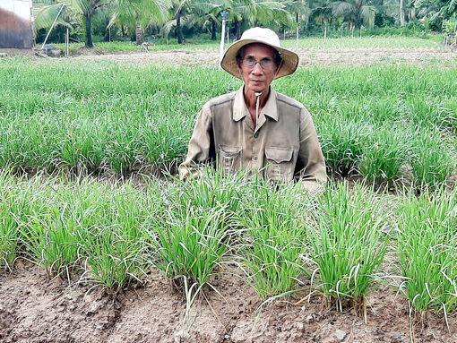 លោ​កថា​ច់រ៉​ង អាយុ​ច្រើន​តែ​នៅ​តែ​ស្រ​ឡាញ់​ការ​ងារ​ពល​កម្ម​ផលិត​