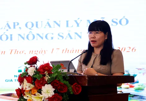 Phổ biến quy định thiết lập, quản lý mã số vùng trồng, cơ sở đóng gói nông sản