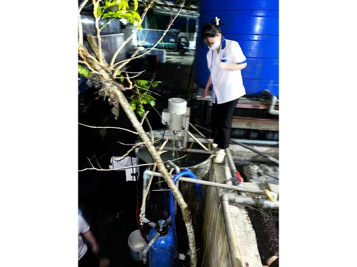 Dùng phụ phẩm từ tro trấu xử lý thành công nước thải ngành chế biến thủy sản