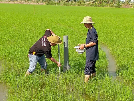 Ứng dụng khoa học công nghệ, chuyển đổi số trong sản xuất nông nghiệp
