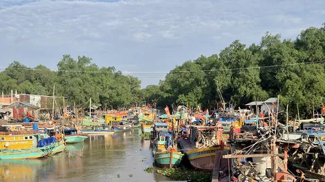 Minh bạch, hiệu quả trong quản lý đánh bắt, khai thác thủy sản