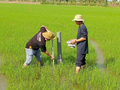 Ứng dụng khoa học công nghệ, chuyển đổi số trong sản xuất nông nghiệp