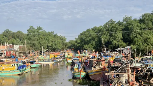 Minh bạch, hiệu quả trong quản lý đánh bắt, khai thác thủy sản
