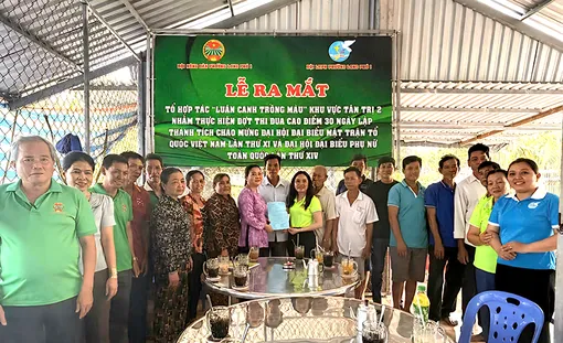 Thành lập mới 18 mô hình kinh tế tập thể