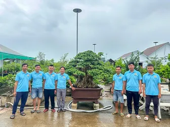 Ra mắt Tổ hội nghề nghiệp tạo dáng nghệ thuật cây cảnh bonsai