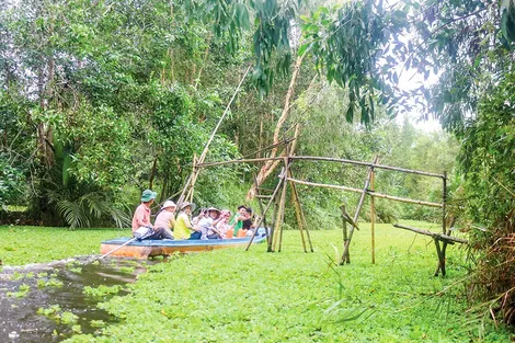 Liên kết hình thành chuỗi giá trị chế biến gỗ bền vững