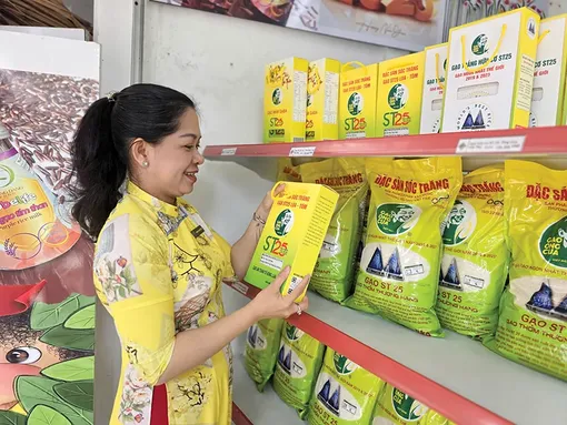 Nhu cầu tạo lập và bảo hộ tài sản trí tuệ ngày càng tăng