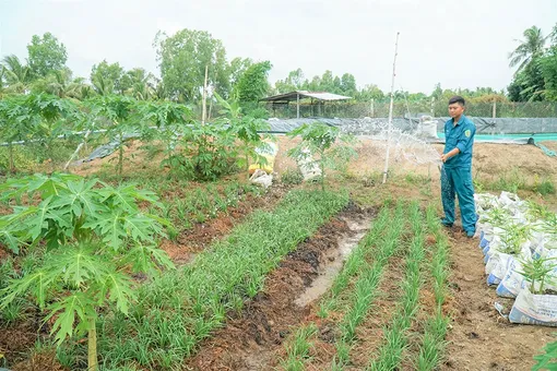 Đẩy mạnh phong trào Thi đua Quyết thắng
