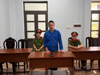 Trộm cắp tài sản, lãnh án 3 năm 3 tháng tù Trộm cắp tài sản, lãnh án 3 năm 3 tháng tù