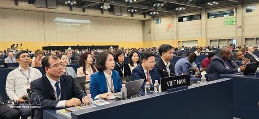 Vietnam proposes priorities to strengthen international cooperation on world heritage conservation