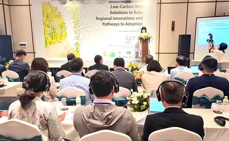 Các giải pháp sản xuất lúa phát thải thấp ở châu Á: Đổi mới sáng tạo trong khu vực và lộ trình áp dụng