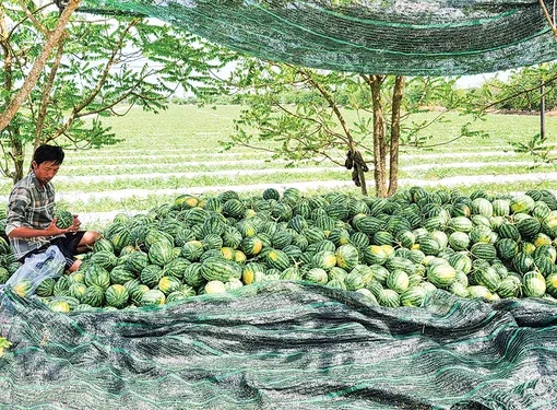 Dạo quanh thị trường 22-7
