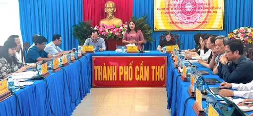 Ban Kinh tế - Ngân sách HĐND thành phố thẩm tra các báo cáo, dự thảo nghị quyết trình tại kỳ họp thứ tư HĐND thành phố