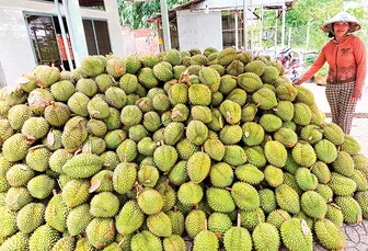 DẠO QUANH THỊ TRƯỜNG