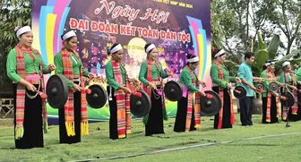 Không thể nhân danh “tự do biểu đạt” để xuyên tạc sự thật về Việt Nam