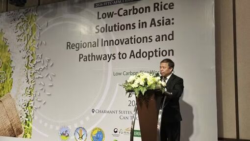Science-driven solutions key to building low-emission rice sector: experts