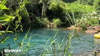 Khám phá Suối Nước Moọc - “ốc đảo xanh” giữa lòng Phong Nha-Kẻ Bàng