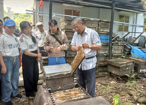 Cơ sở nuôi ong trở thành điểm du lịch
