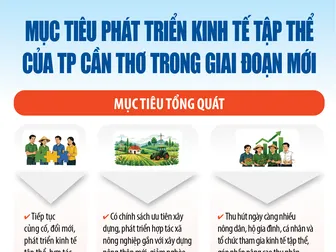 Phấn đấu đến năm 2045, thành lập mới khoảng 450 tổ hợp tác, 600 hợp tác xã, 5 liên hiệp hợp tác xã