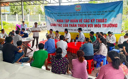 Tập huấn kỹ thuật canh tác lúa thân thiện với môi trường