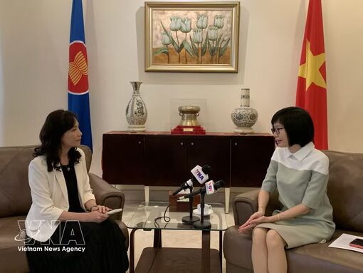 Vietnam at forefront of driving ASEAN Community Vision 2045: Ambassador