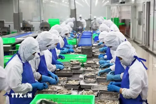 Thuế Mục 301 của Hoa Kỳ sẽ tác động thế nào đến thủy sản và gỗ Việt Nam?
