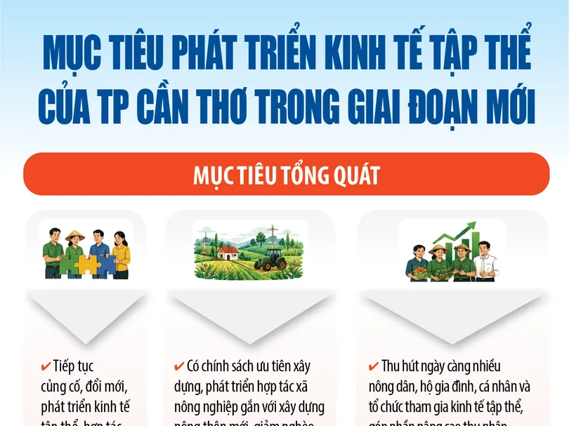 Phấn đấu đến năm 2045, thành lập mới khoảng 450 tổ hợp tác, 600 hợp tác xã, 5 liên hiệp hợp tác xã