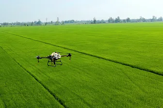 Tập trung sản xuất nông nghiệp an toàn, nâng cao chất lượng